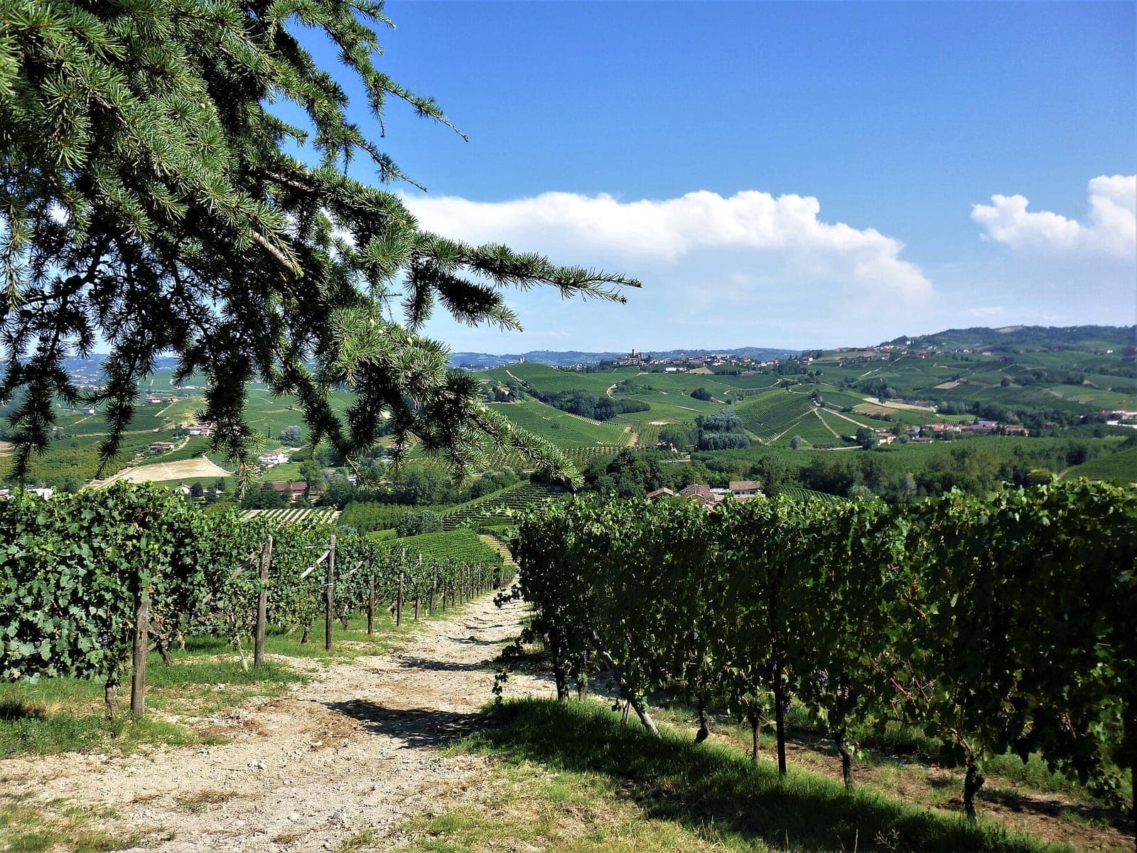 Alta Langa ridge trails (Treiso crests / GTL Pavaglione–Castino)