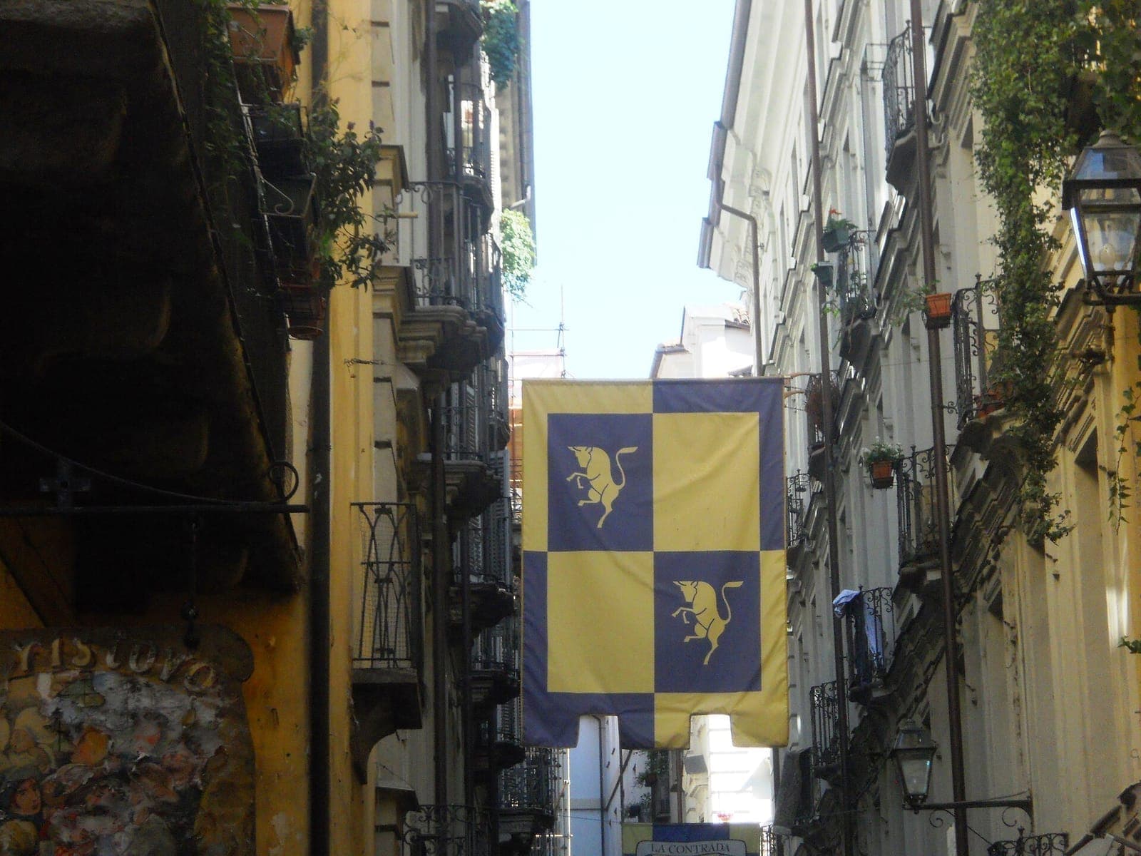 Ruderi del Castello di Cesnola (and nearby Castruzzone)